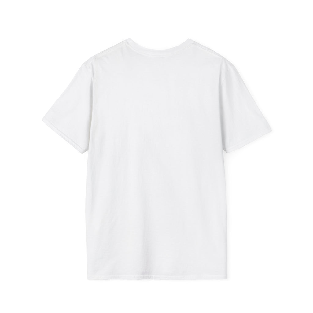 Ghost holographic tee